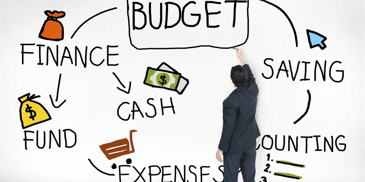 Cost Efficiency and Budget Allocation