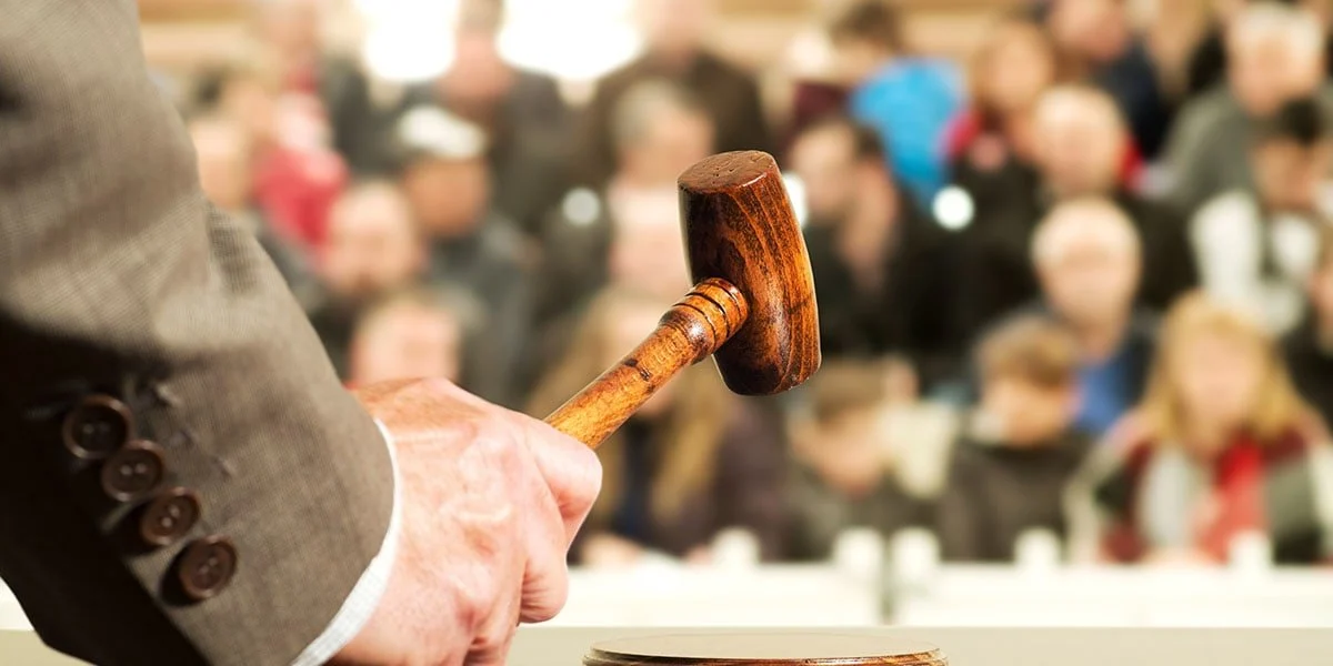 Assessing Budget and Bidding Strategies